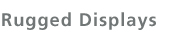 Rugged Display Solutions
